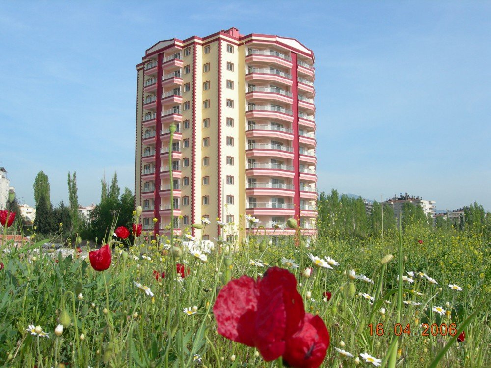 dismekan_bg