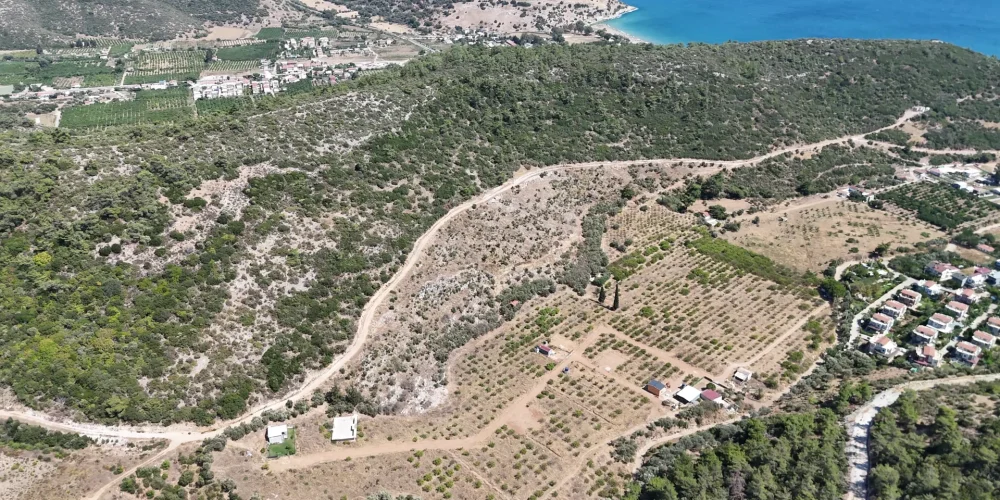 DJI_20250817151611_0012_D.MP4_20250923_135515.036