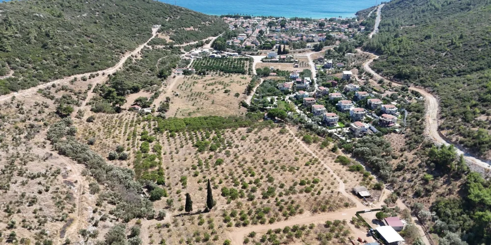 DJI_20250817151951_0014_D.MP4_20250923_135610.268