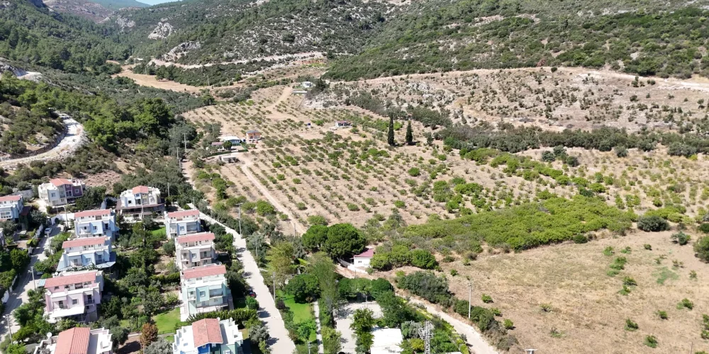 DJI_20250817152317_0015_D.MP4_20250923_135631.547