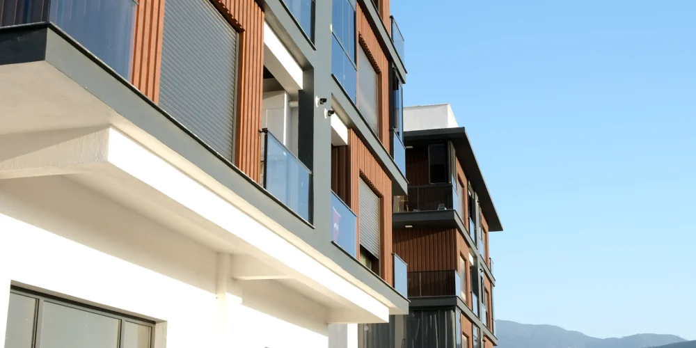 DSCF1296.MOV_20250925_124240.909