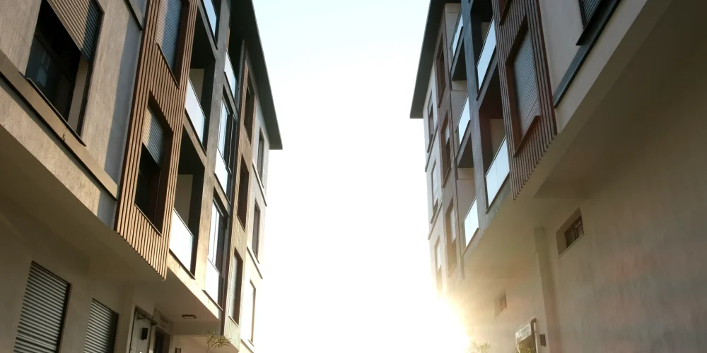 DSCF1310.MOV_20250925_124351.741