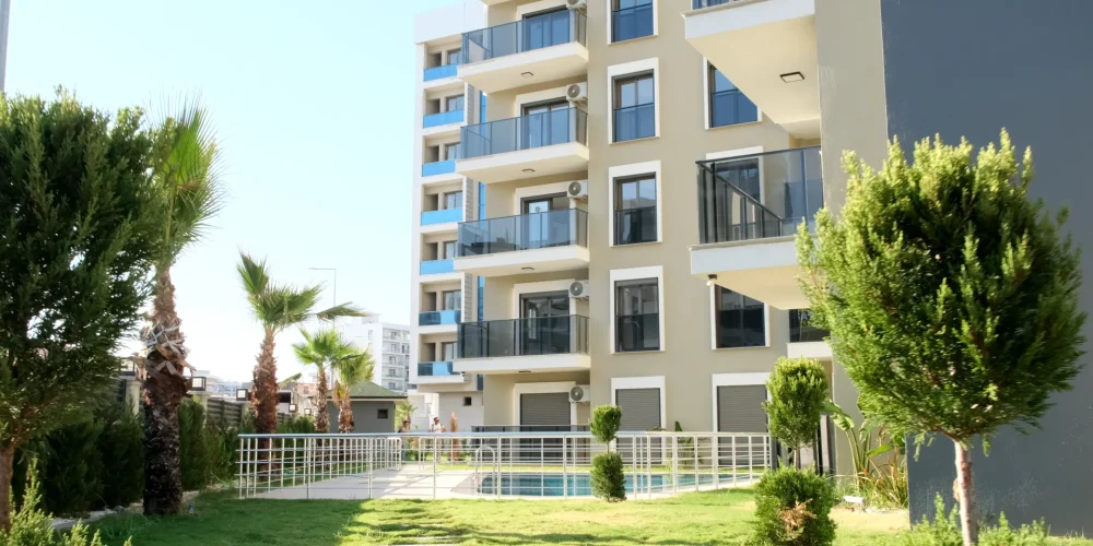 DSCF1388.MOV_20250925_125450.853