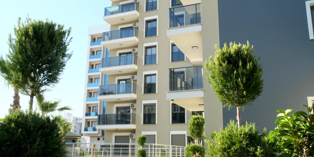 DSCF1396.MOV_20250925_125529.902