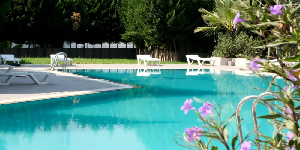 DSCF1674.MOV_20250925_131817.350