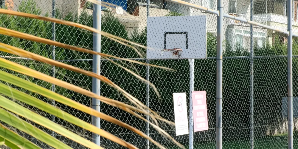 DSCF1679.MOV_20250925_131852.494