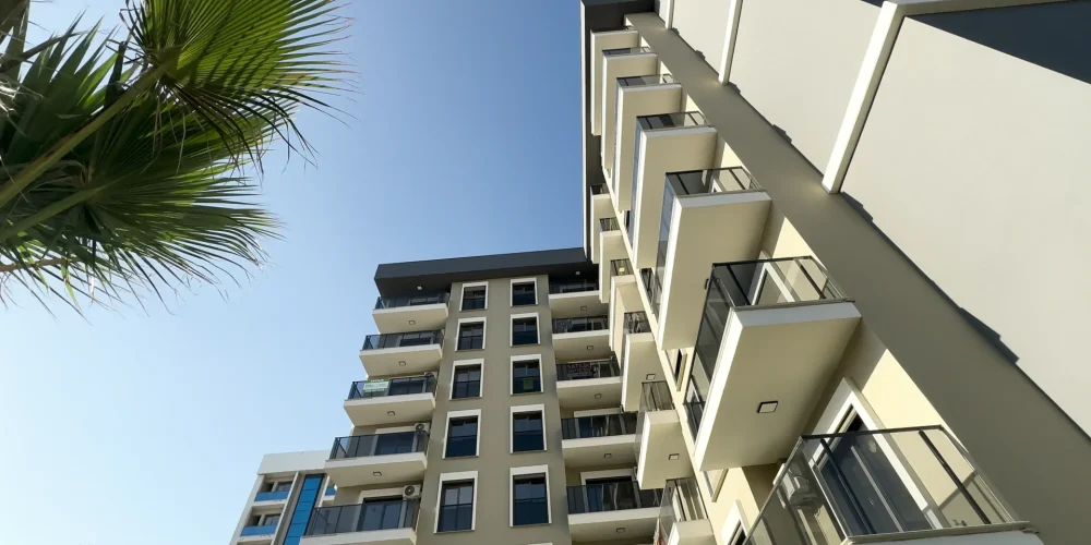 IMG_3462 2.MOV_20250925_125129.221